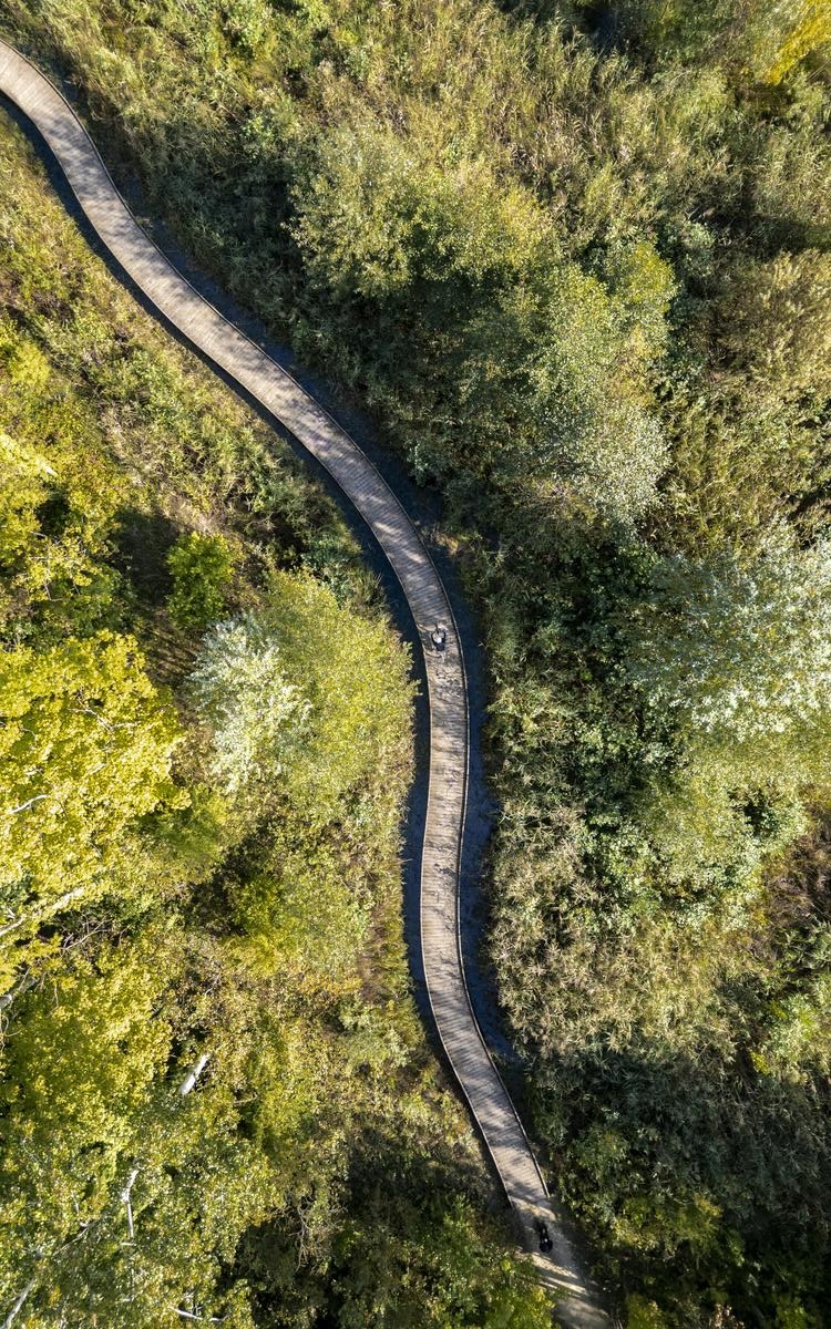 An open path through a calm natural landscape